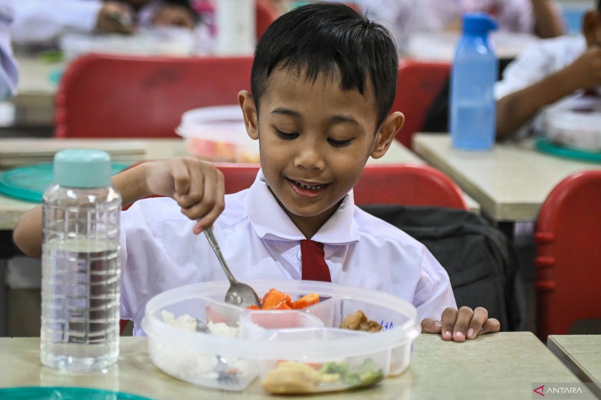 Opsi bahan makanan lokal untuk siapkan bekal bergizi bagi anak